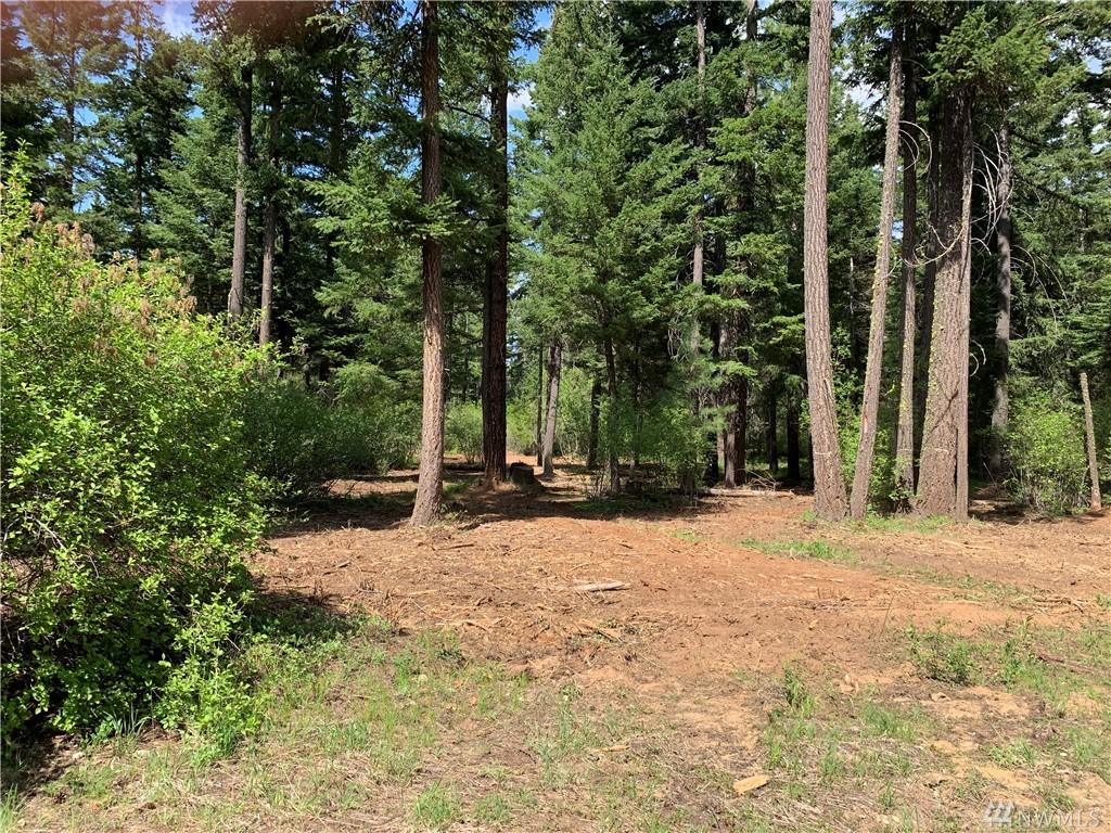 361 Snowberry Lp - Photo 1