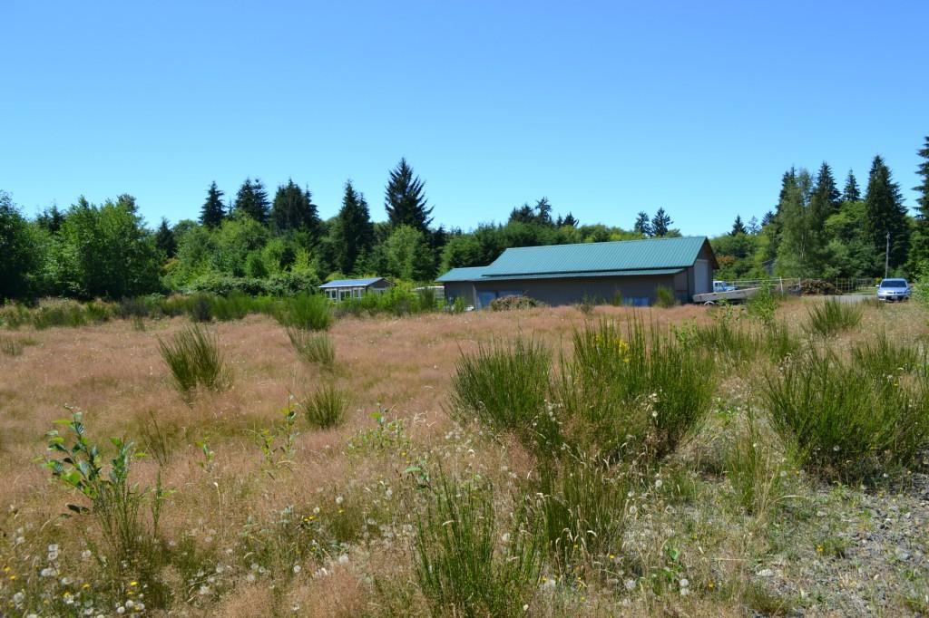 999-Lot 4 Elk Corner Rd - Photo 1