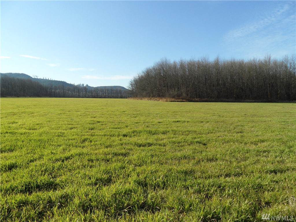 473 Lincoln Creek Rd - Photo 1