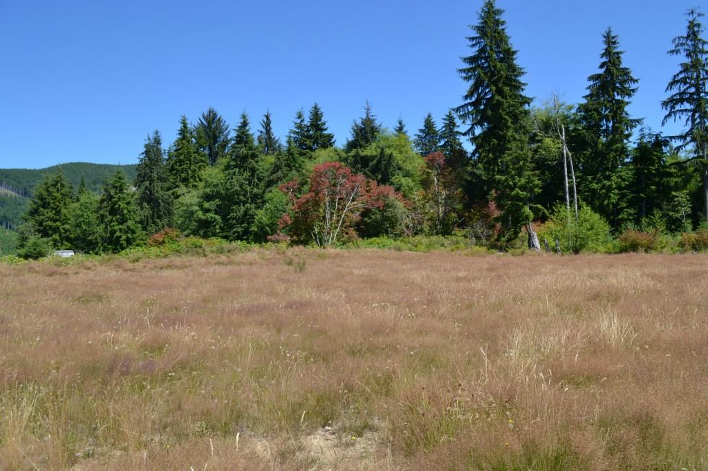 9999-Lot 1 Elk Corner Rd - Photo 1