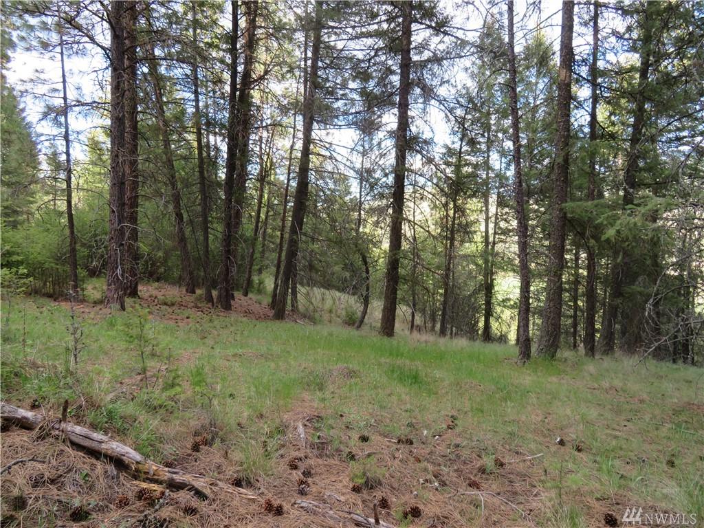0-TBD Evergreen Dr - Photo 1