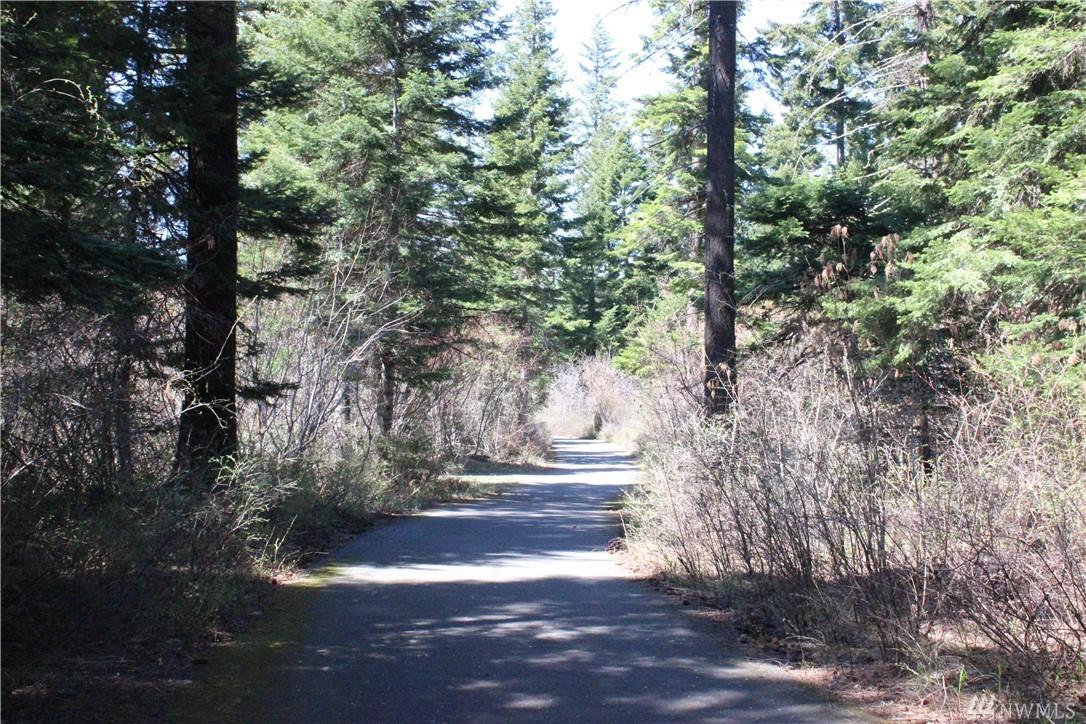 1311 Snowberry Lp - Photo 1