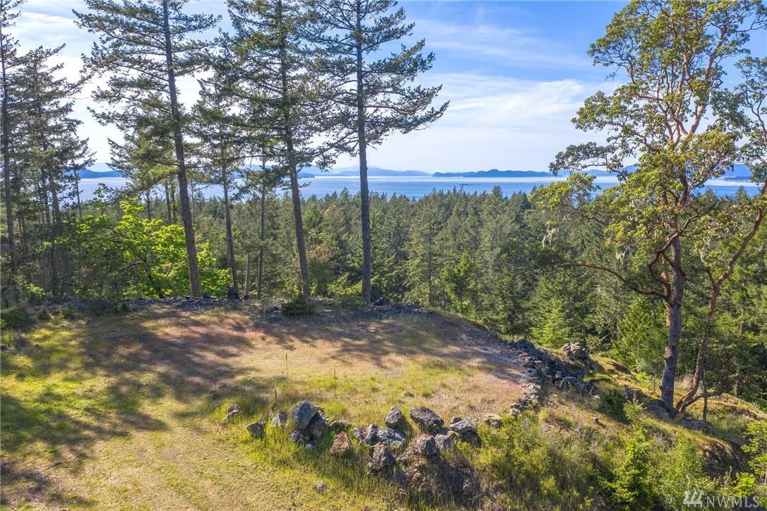 550 Dancing Deer Dr - Photo 1
