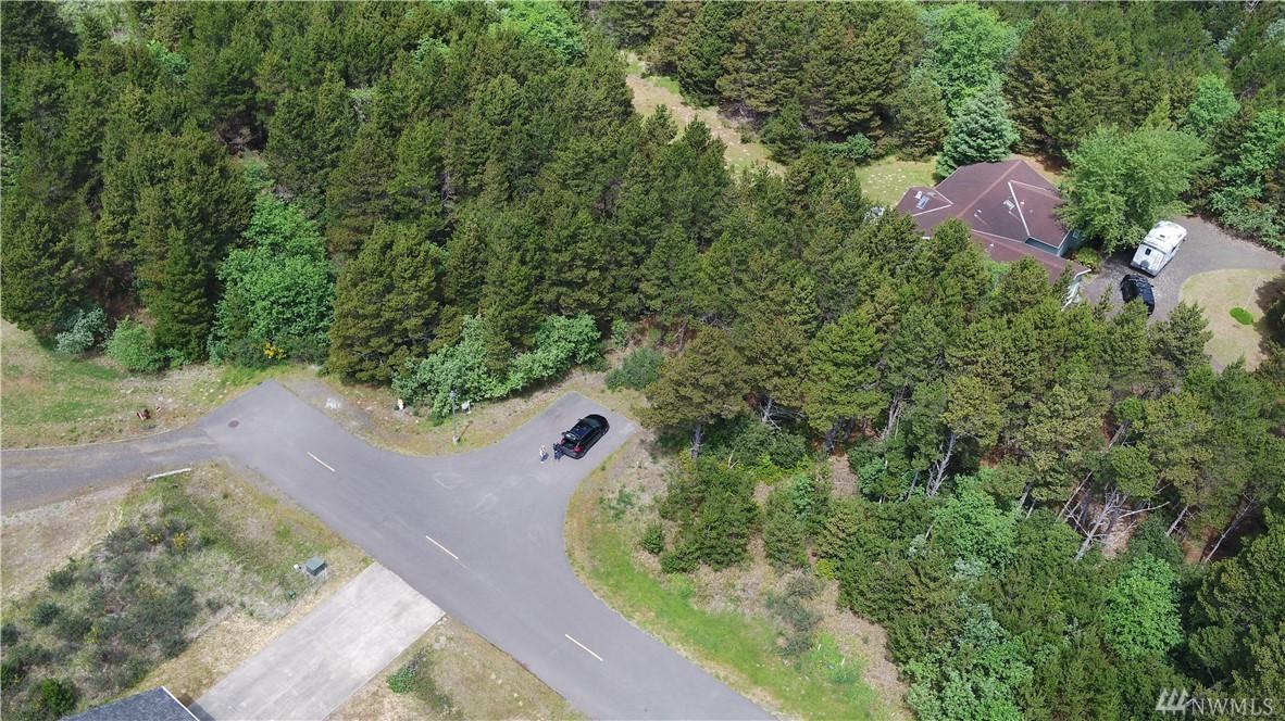0-Lot 3 Driftwood Lane - Photo 1