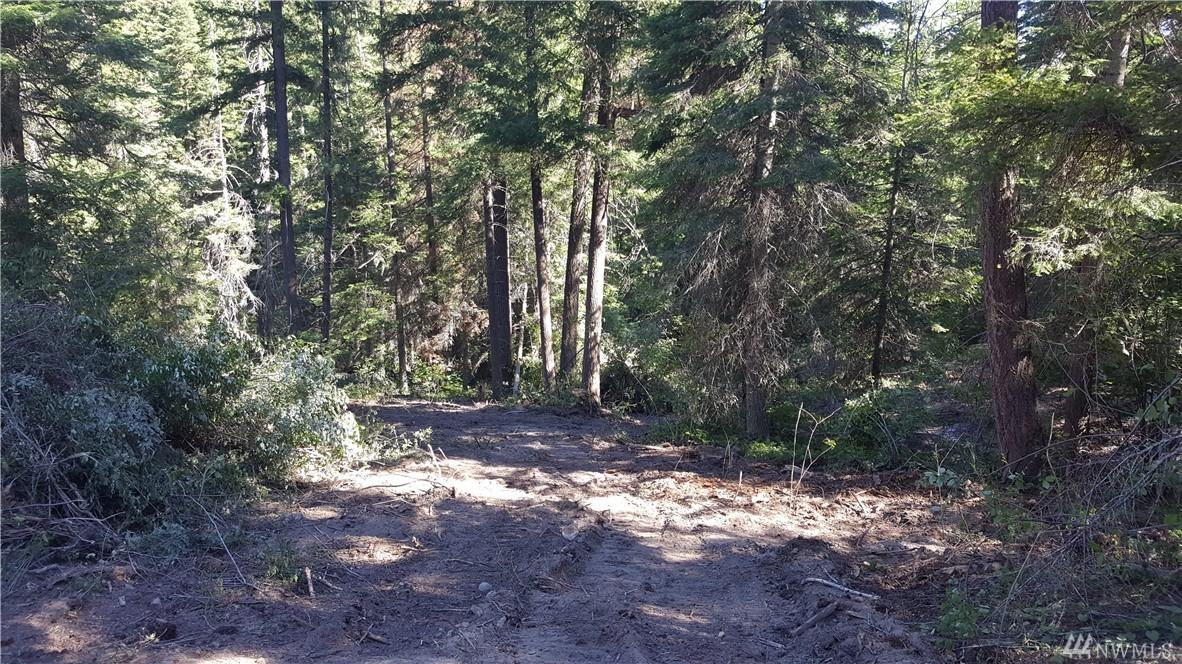 0-lot Thornton Creek Lane - Photo 1