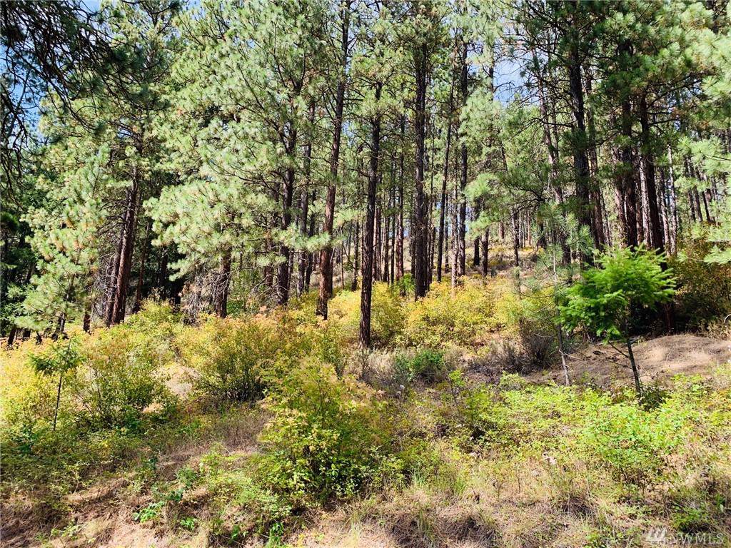 0-Lot 4C Red Bridge Rd - Photo 1