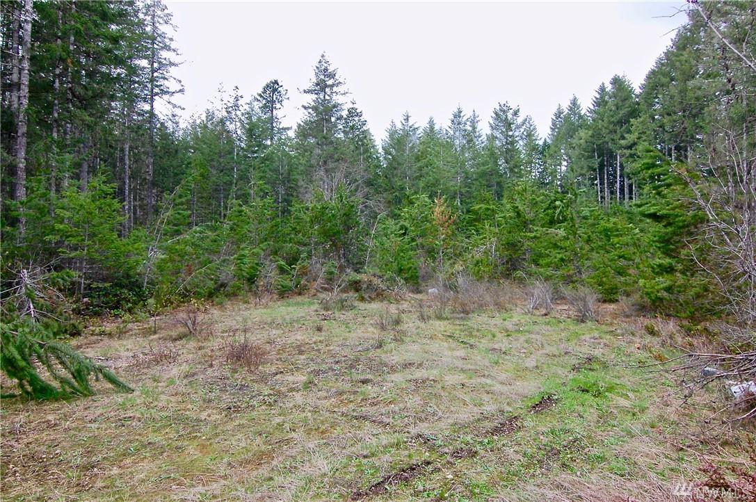 0 Toonerville Rd - Photo 1