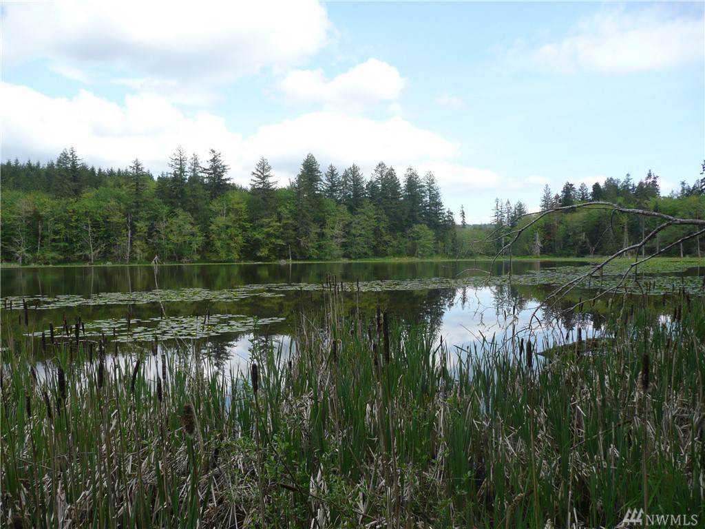 999 Rice Lake Rd - Photo 1