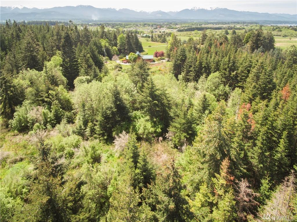 9999 Holgerson Rd - Photo 1