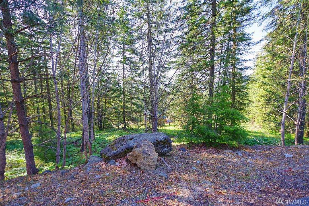 6-Lot Lake Forest Dr - Photo 1