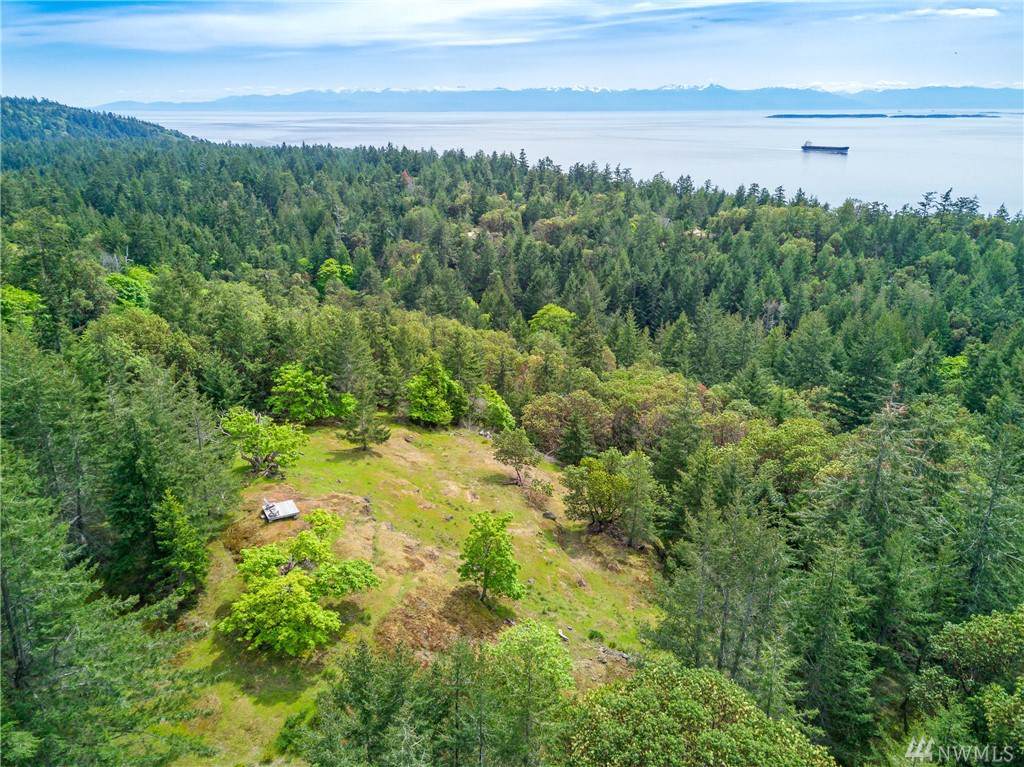 0-Lot 3 Mount Dallas Rd - Photo 1