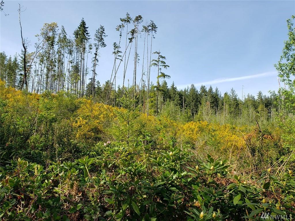 0-Lot Xxxx Rd - Photo 1