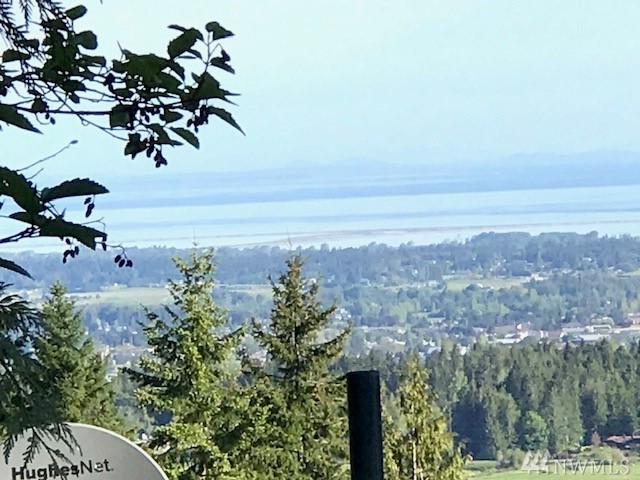 363 Old Dads Rd - Photo 1