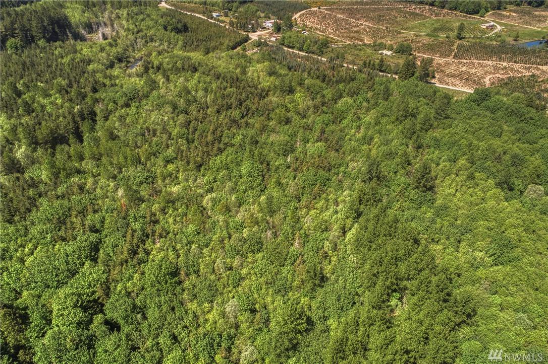 400 Dahman Rd - Photo 1