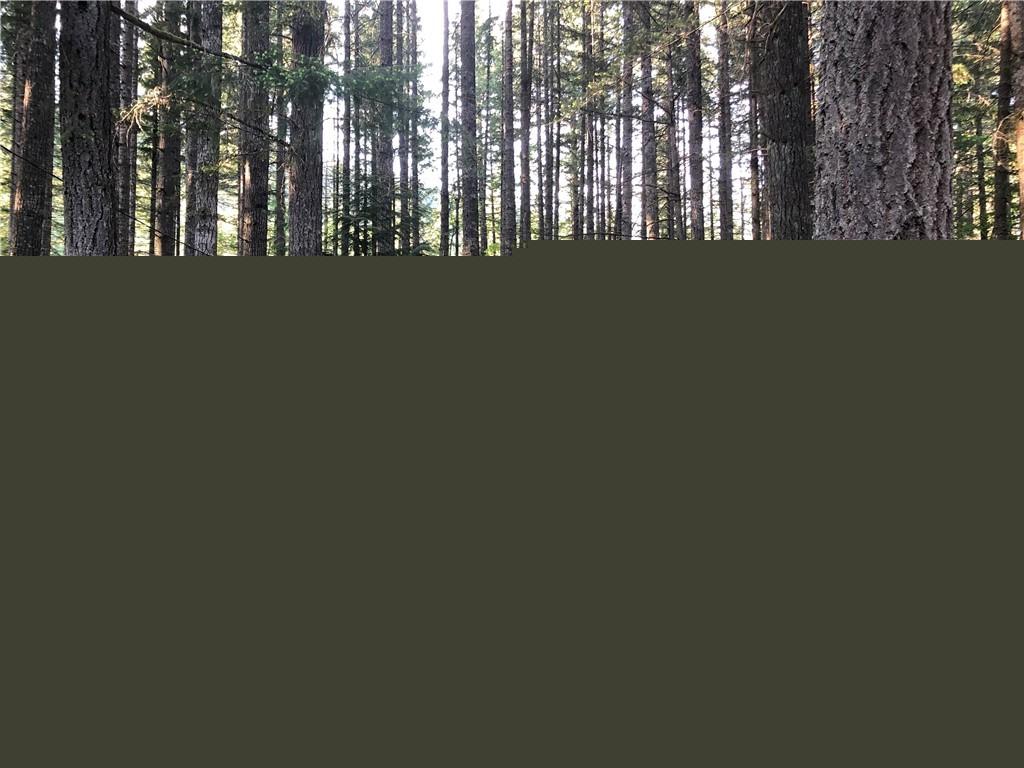 250 Mountain View Dr - Photo 1