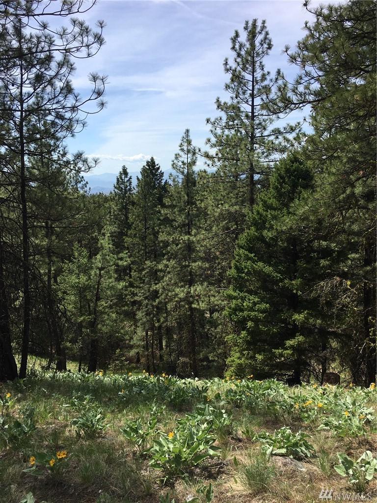 1066-Lot Fs 3525 Rd - Photo 1