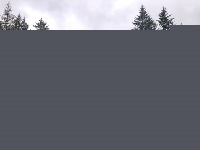 515 140th Ave - Photo 1