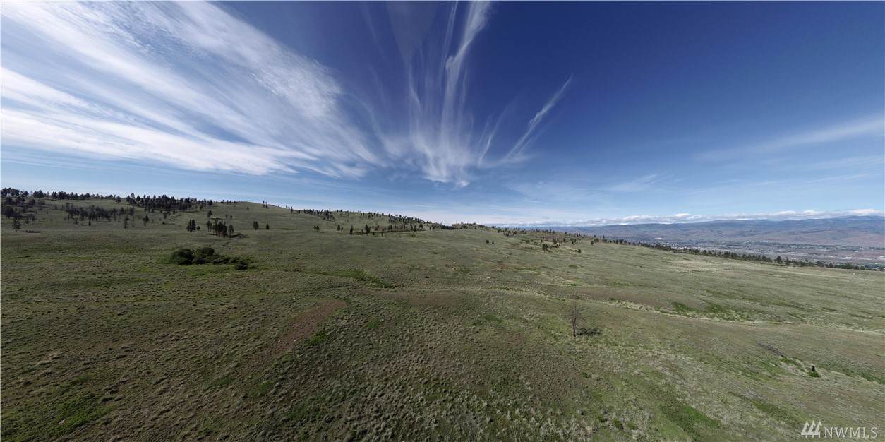 0 Omak Mountain Rd - Photo 1