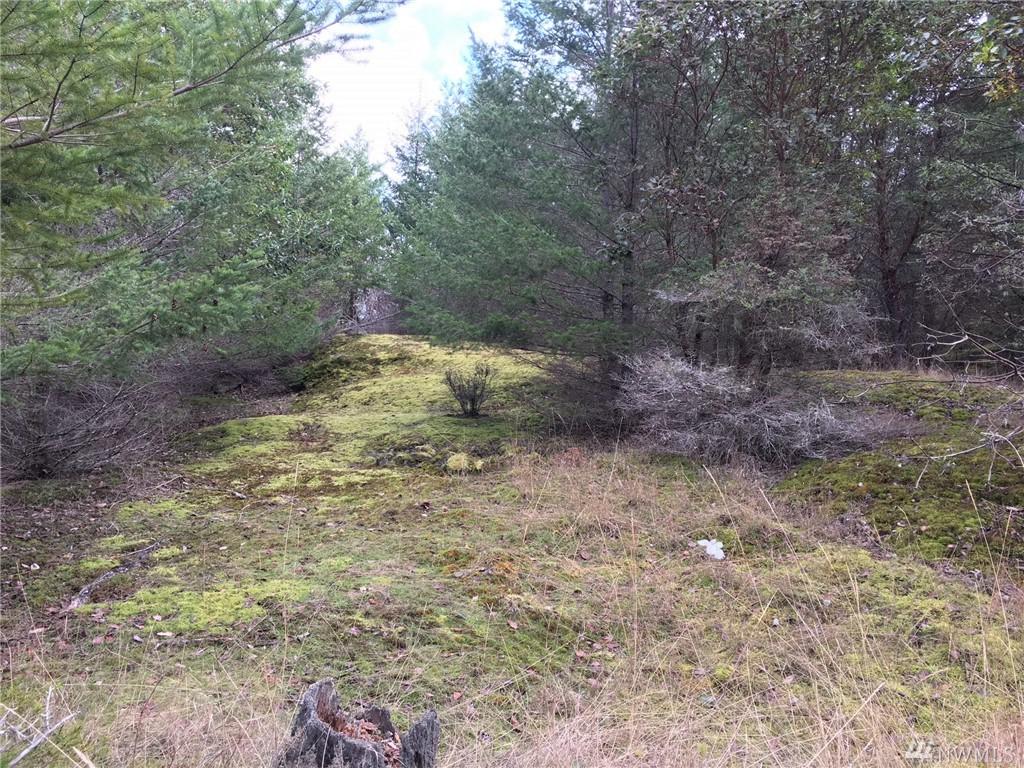 0 Mount Dallas Rd - Photo 1