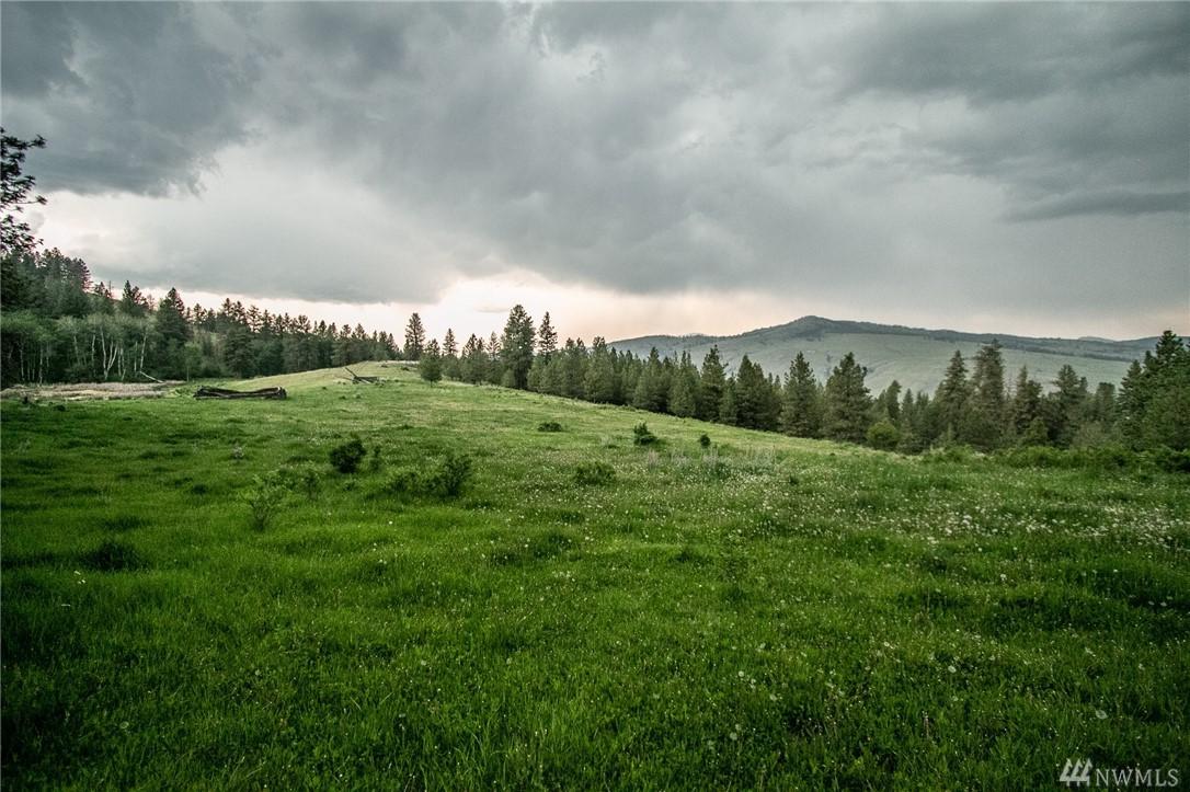 177 Chopaka Wy - Photo 1