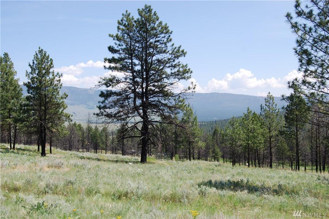 0-TBD Tedrow Trail Road - Photo 1