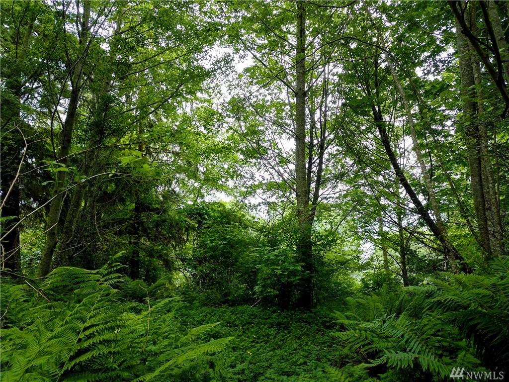 999 Olallie Trail - Photo 1
