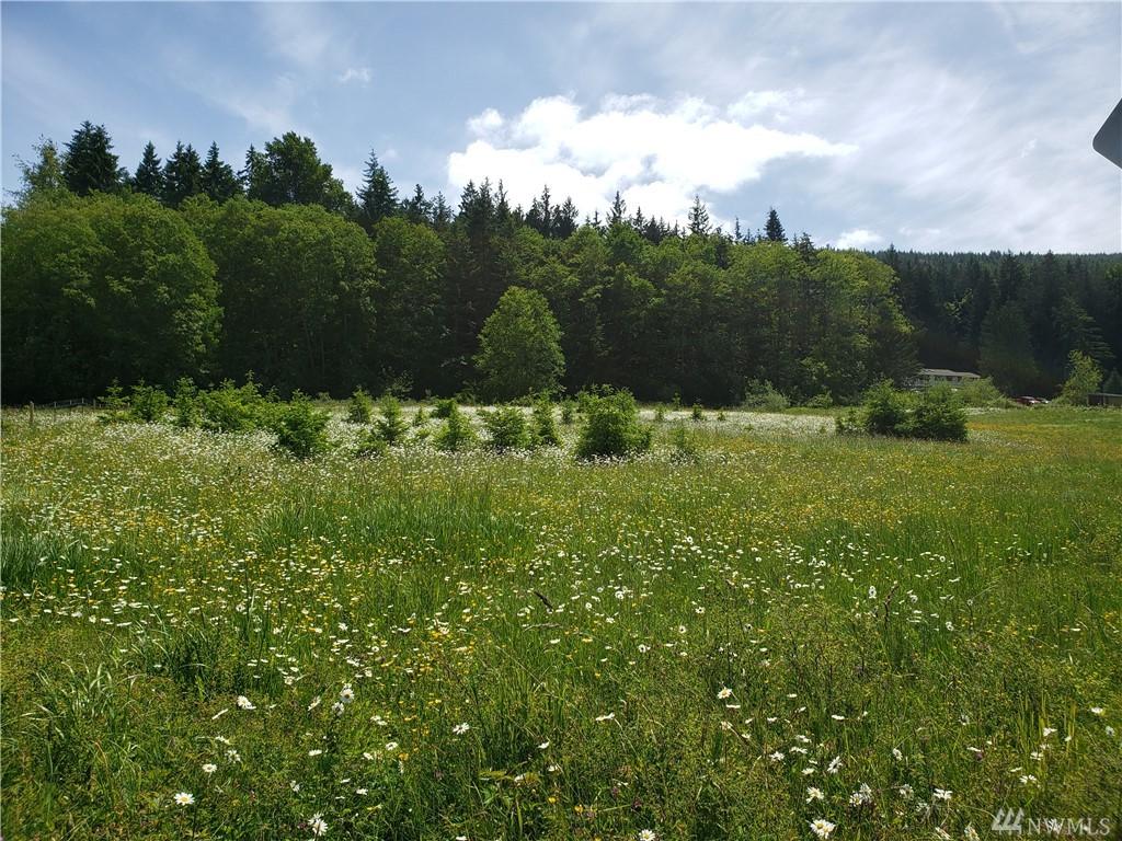 0 Olson Rd - Photo 1