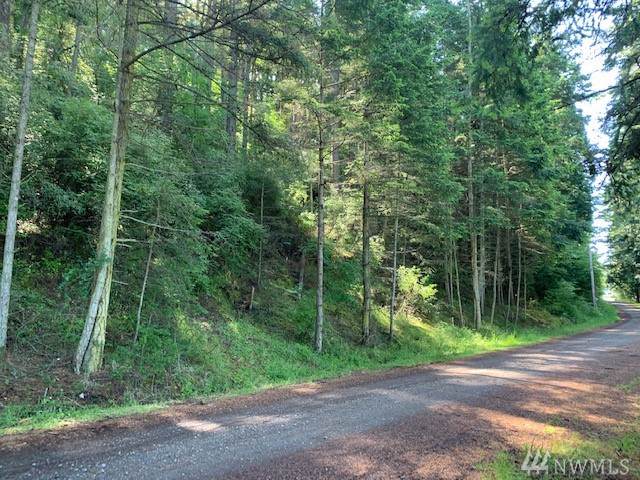 223 Pavey Blvd - Photo 1