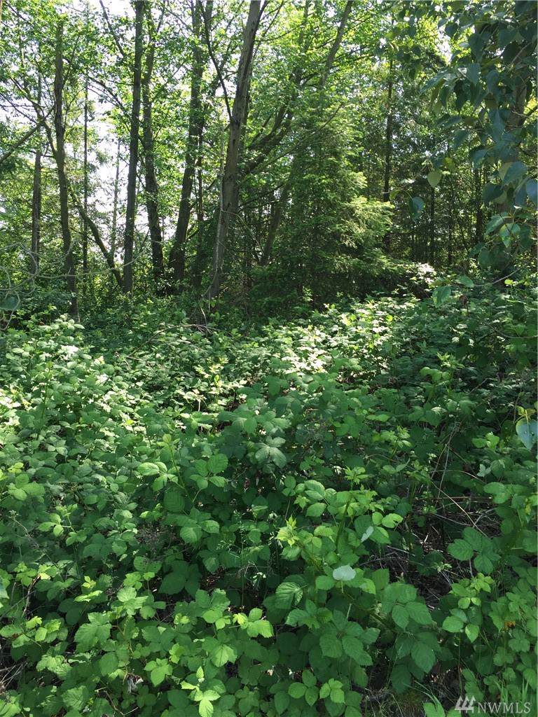 6-Lot Titan Terr - Photo 1