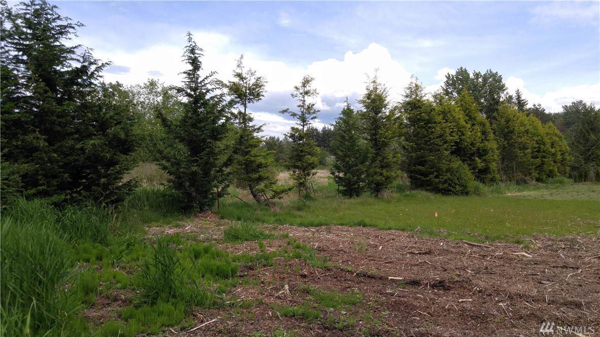 50-XX Hannegan Rd - Photo 1