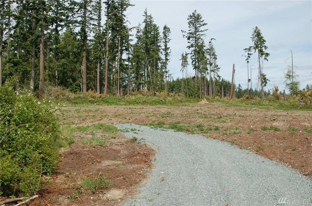 0-Lot 1 Hersig Rd - Photo 1
