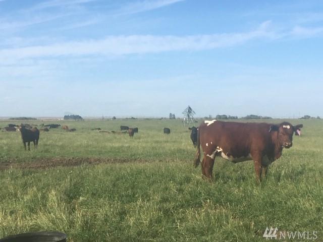 9437 Road 15 - Photo 1