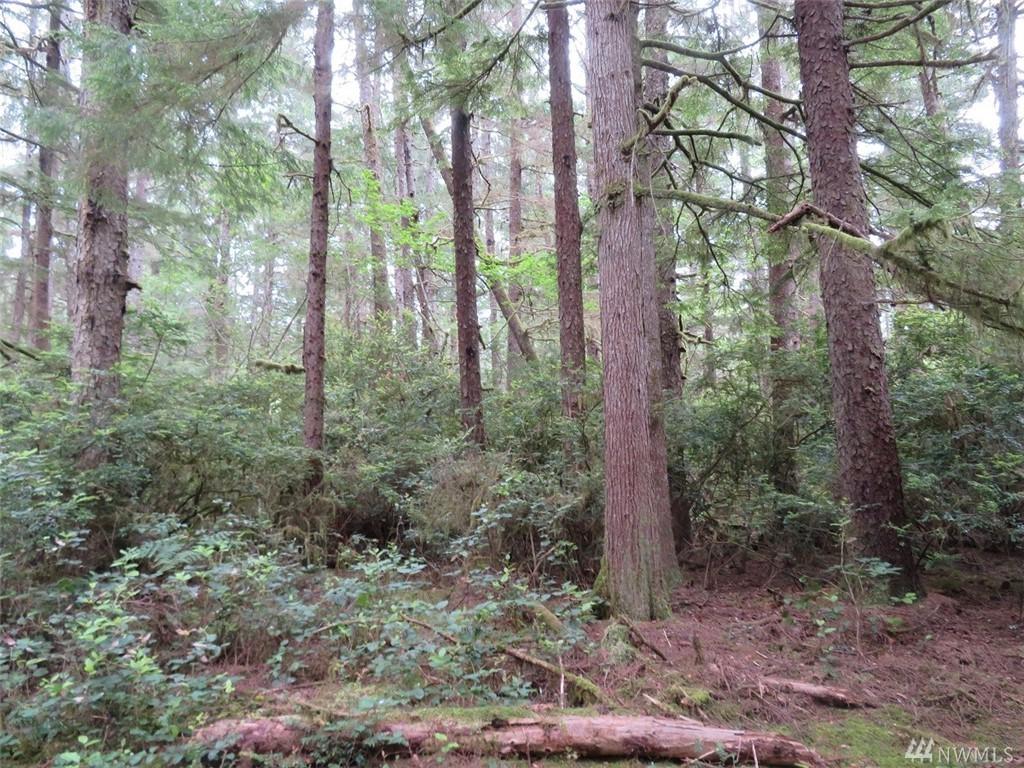 16502 Pacific Wy - Photo 1