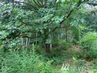 0-XXXX Bayview Dr - Photo 1
