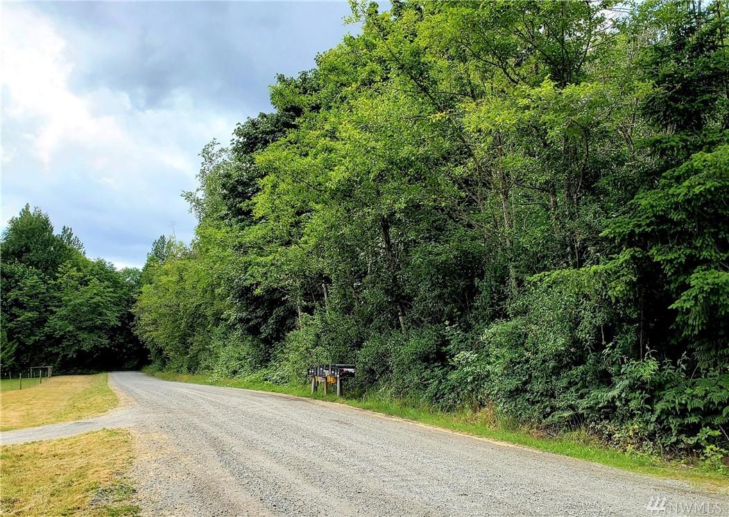 29041 Elk Run Dr - Photo 1
