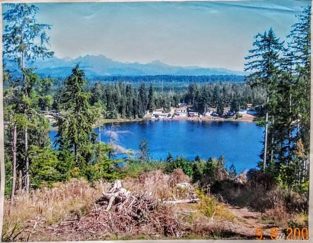 421 Satsop Dr - Photo 1