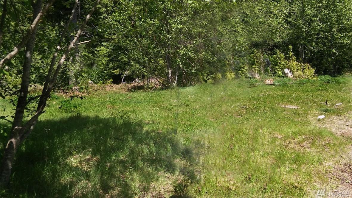 8 Tract 8 Marble Mtn Rd - Photo 1