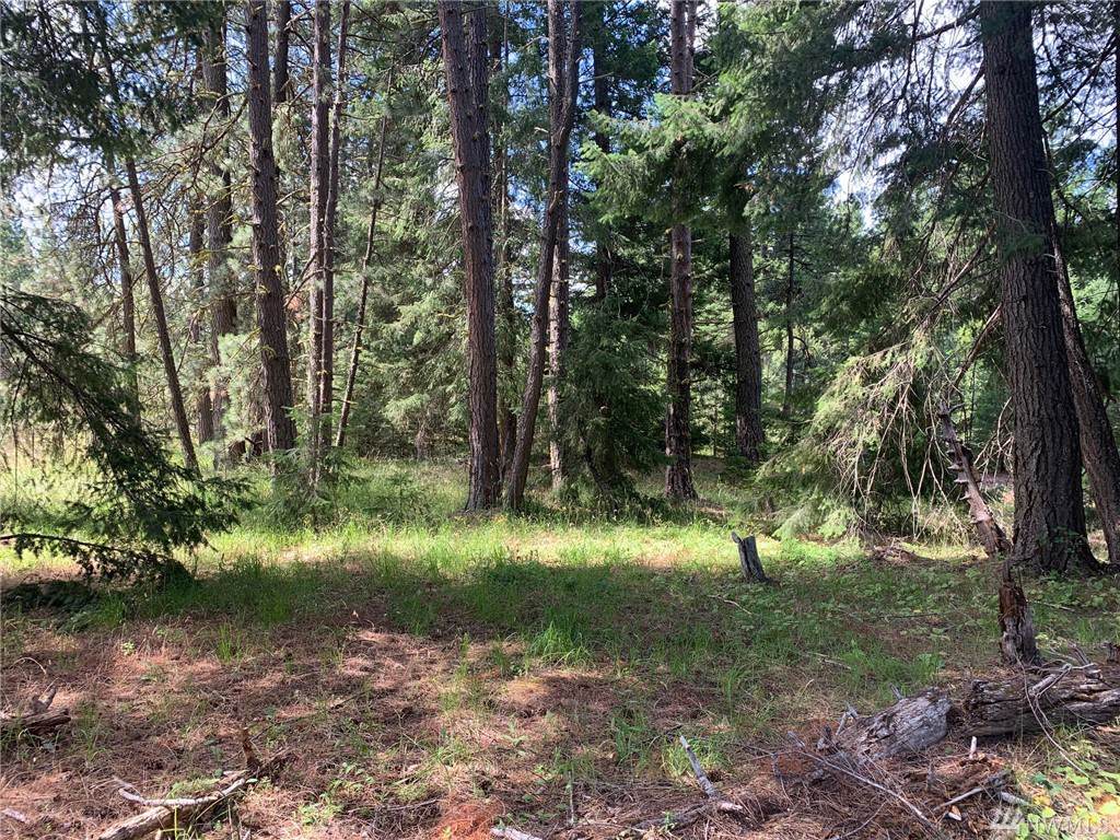 111 Domerie Bay Rd Rd - Photo 1