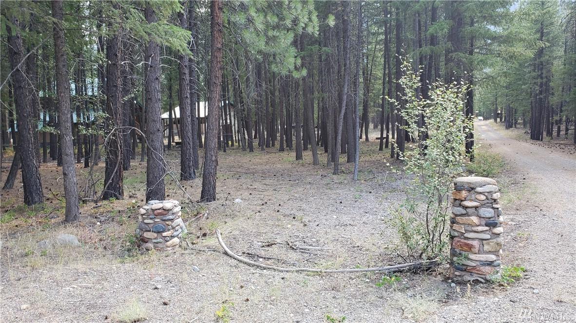 115-b Lost River Rd - Photo 1