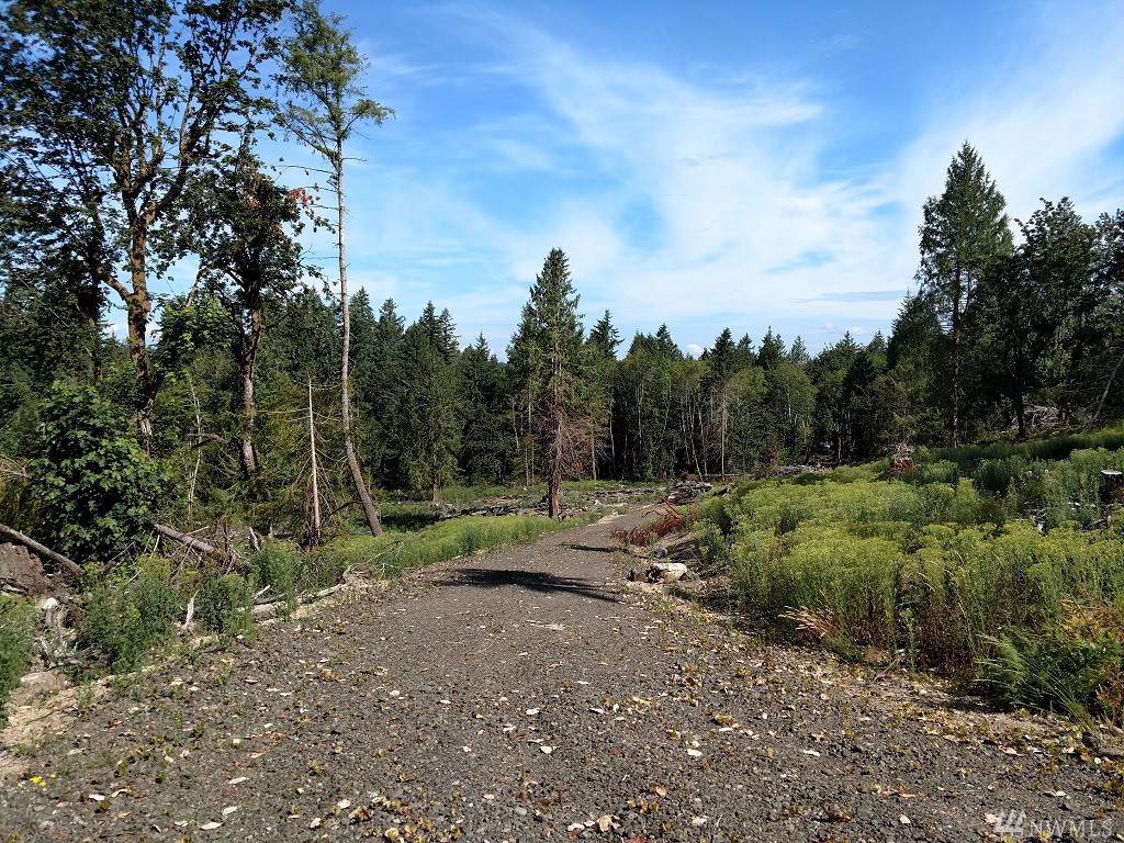 0 163rd Ave - Photo 1