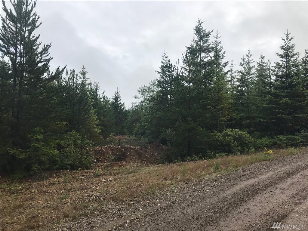 2 Dewatto Hills Rd - Photo 1