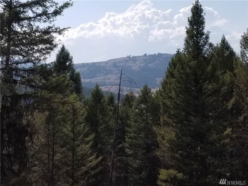 0 Tbd Trapline Loop Rd - Photo 1