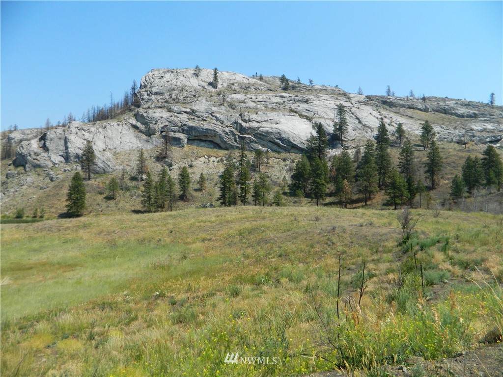 111 Tbd Palmer Mountain Road - Photo 1