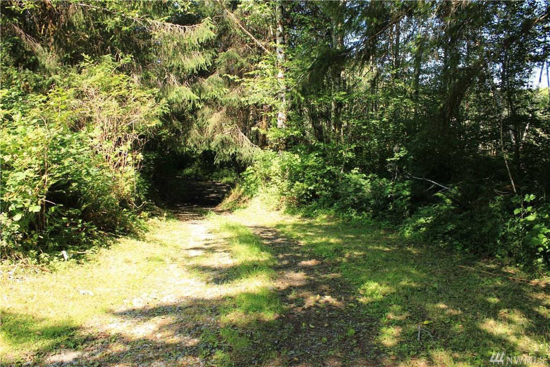999 Dowans Creek Rd - Photo 1
