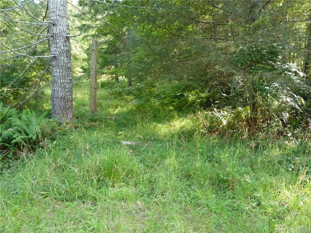 0 E Go Onna Dr - Photo 1