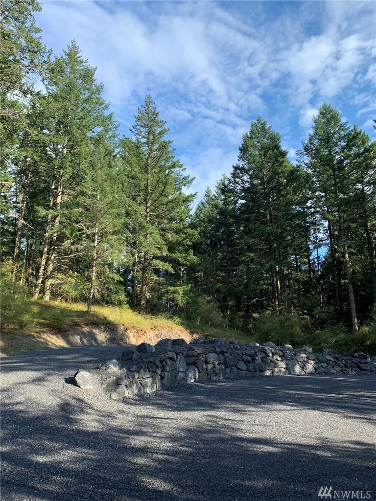 30 Tin Cup Trail - Photo 1