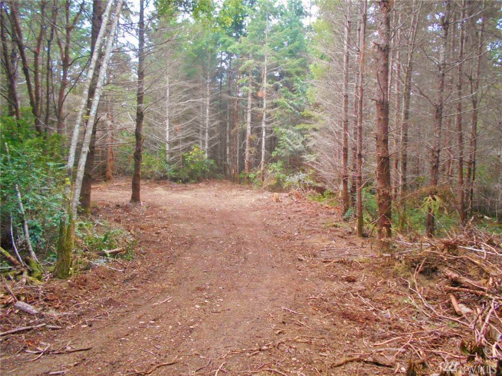 0 Old Coyle Rd - Photo 1
