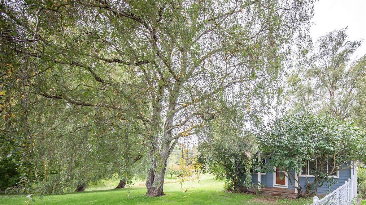 878 Marine Dr - Photo 1