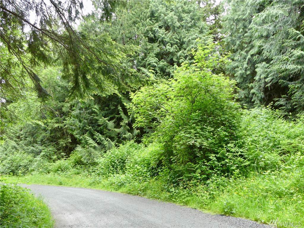 4130 Frog Water Rd - Photo 1