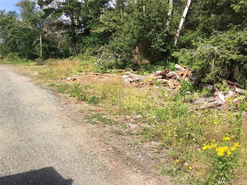 24775 V Lane - Photo 1